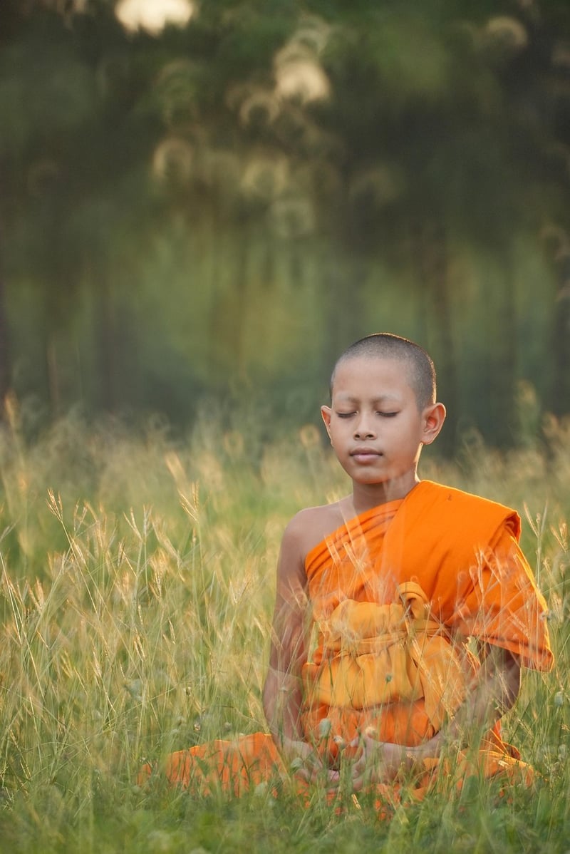 Sun Salutations
